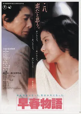 雾港迷城 手机免费在线观看